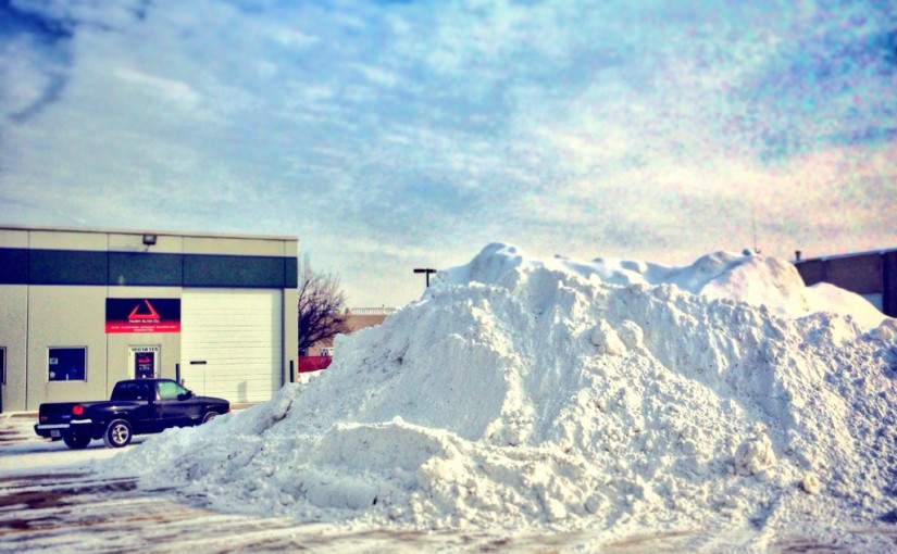 Podcast #114 — Public Transit to Airports, Requiem for SkyMall, Awful Winter Travel