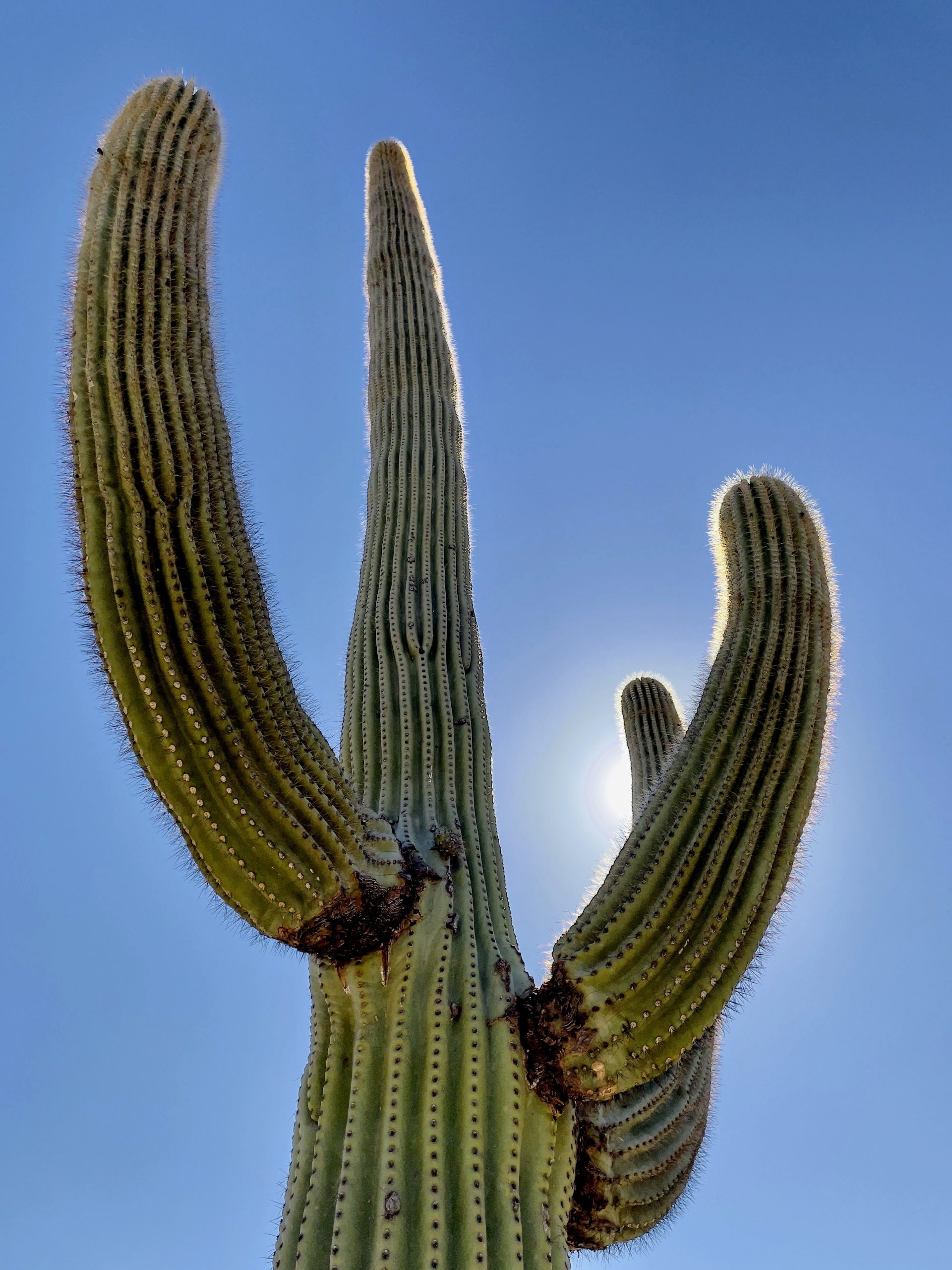 Podcast #172 — Timeshares Without the Pitch; Notes on Tucson